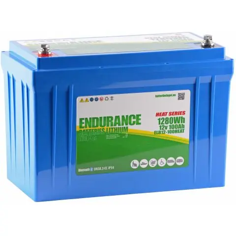 Trygg betalning Endurance ELB12-100HEAT Förbrukningsbatteri